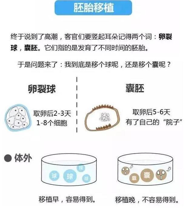 试管婴儿的流程是怎么样的?