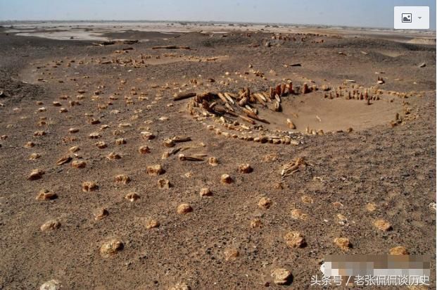 吉祥数字7有历史:4000年前的楼兰王国的祖先