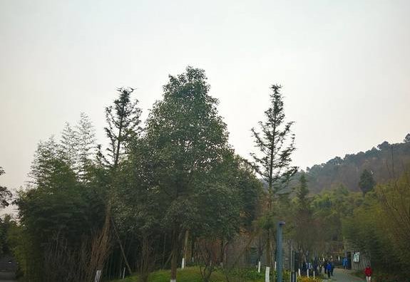 汪峰在歌手节目唱《我们不一样》?评论空前默