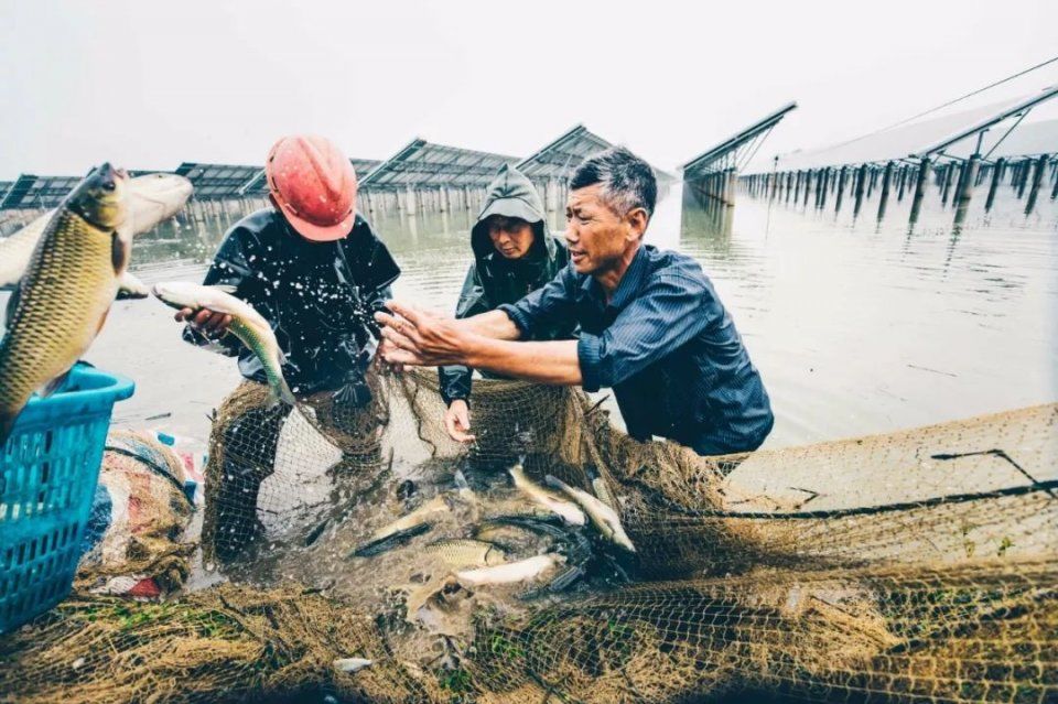 协鑫光伏扶贫电站总量全国第一,帮扶3.7万多贫