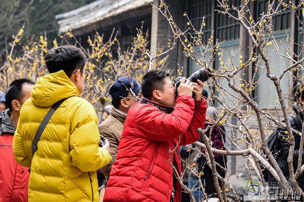 春暖北京 又待一年山花烂漫时