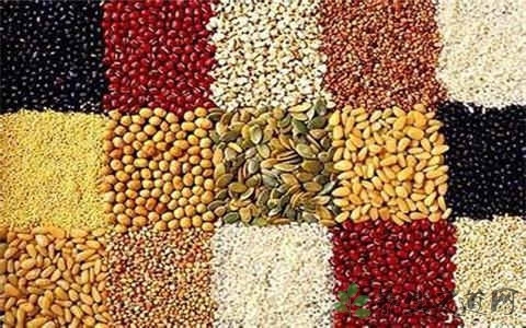 老人肾功能不好吃什么