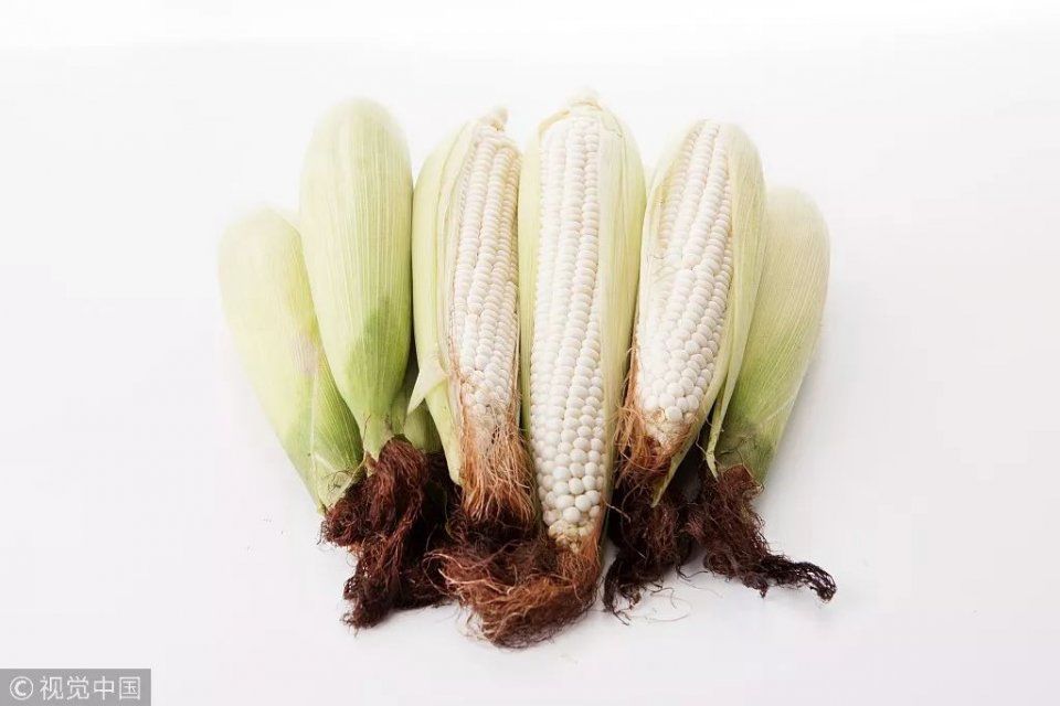 细数玉米须煮水喝的9大奇效!