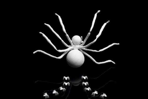 希腊再现恐怖"盘丝洞"