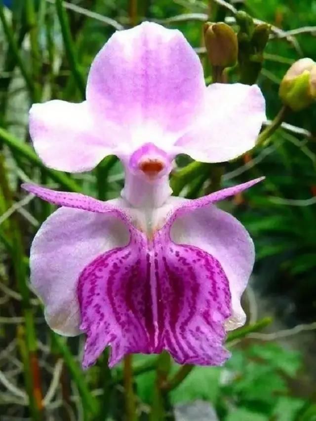 做人,高在忍,贵在让,心在善,永远别和小人斤斤计