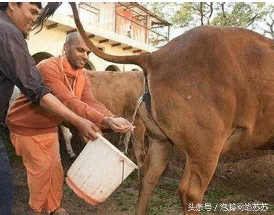 印度人嘲笑中国人吃鸡爪子 网友:好意思说我们