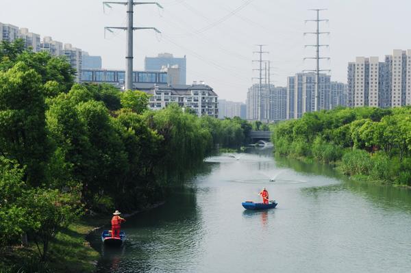 【美丽中国长江行】从水底窒息到生态呼吸 看拱墅区十字港如何打造“水下森林” 【美丽中国长江行】从水底窒息到生态呼吸 看拱墅区十字港如何打造“水下森林”