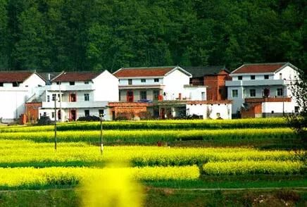 沧州农村宅基地、承包地确权发证时间定了!农