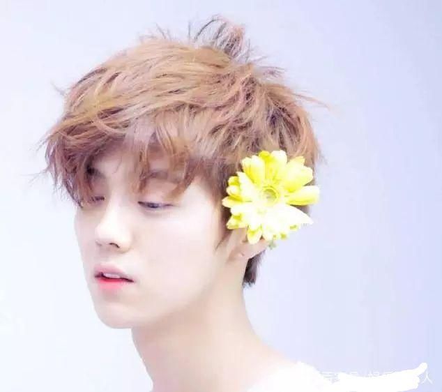 鹿晗微博晒两万一的透明行李箱炫富,邓紫棋代