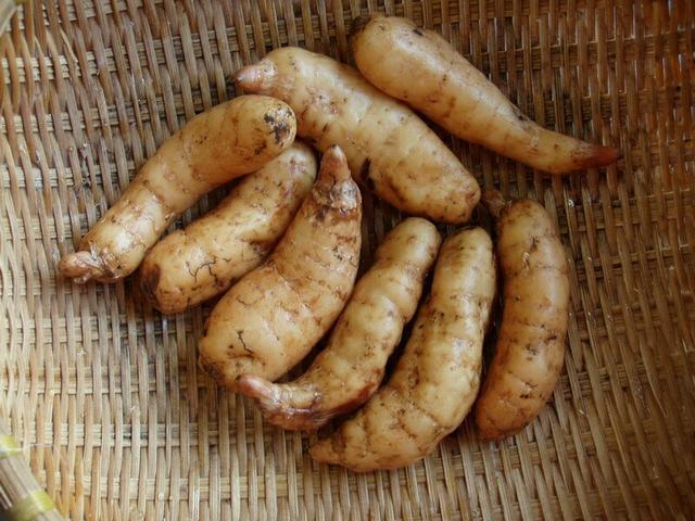 中药能治高血压吗?这些中药材最适合不过