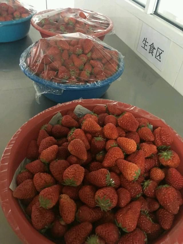 家长看到幼儿园里宝宝吃的饭菜说太素了