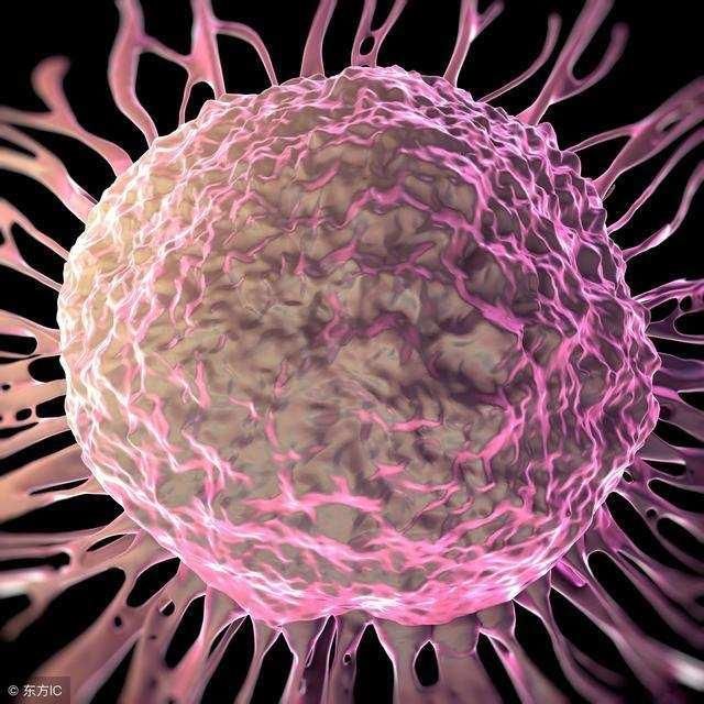 癌症患者最好的医生是自己,肿瘤专家教你几个