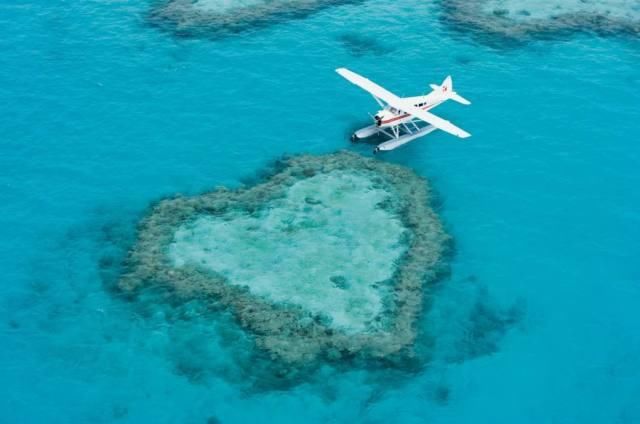 2018澳大利亚大堡礁旅游攻略,特色吃喝玩乐,最