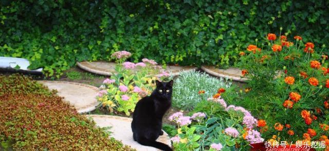 波兰是一个怎么样的国家?