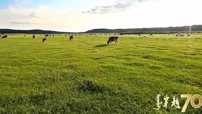 你和内蒙古的关系,远远不止一杯奶! 你和内蒙古的关系,远远不止一杯奶!