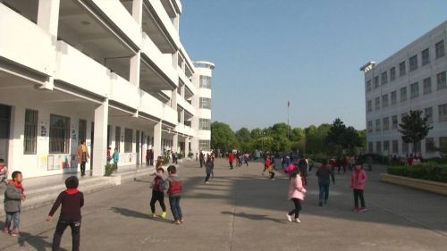 孩子课间打闹受了伤,责任该如何划分?