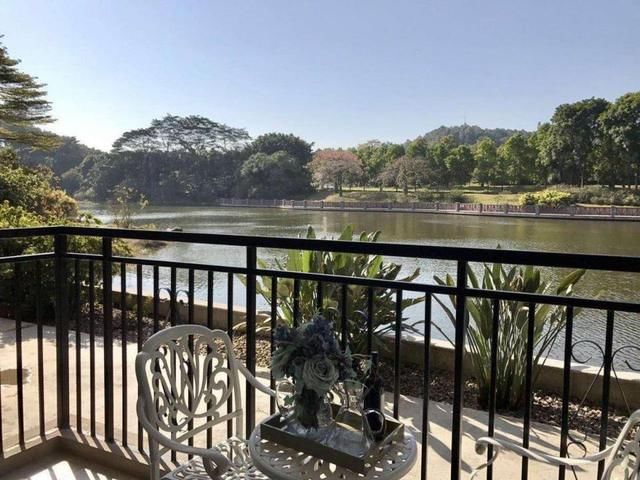 粤港澳大湾区长寿之乡三水 一线江景 单合同不