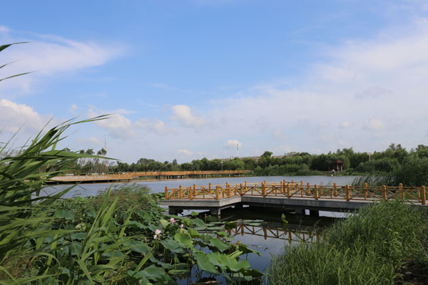 8月20日,青冈县日月湖公园正式投入使用.