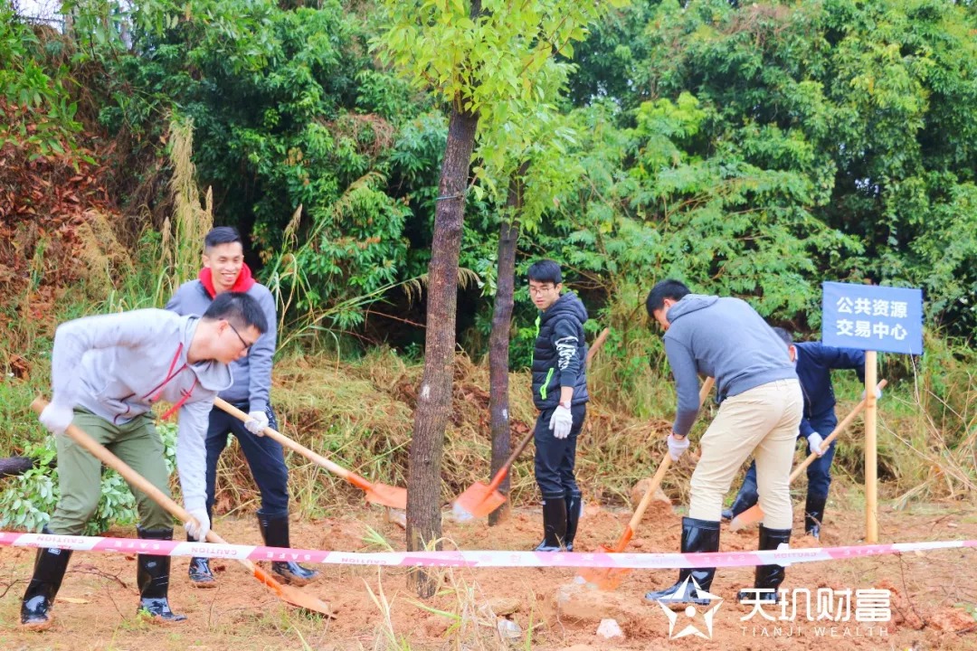 播种新希望 天玑财富2018年植树公益行
