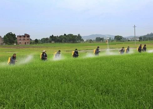 再过几天,农药化肥的价格可能要上涨了,农民疑