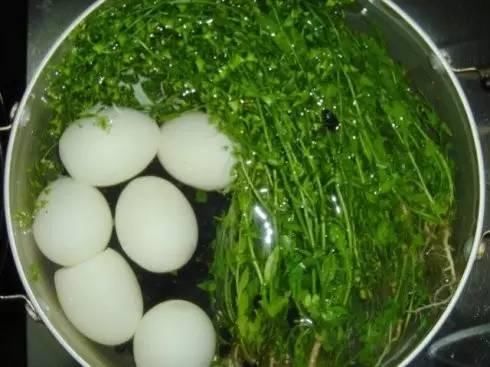 3月3地菜煮鸡蛋,你以为只是好吃?益阳老乡赶紧