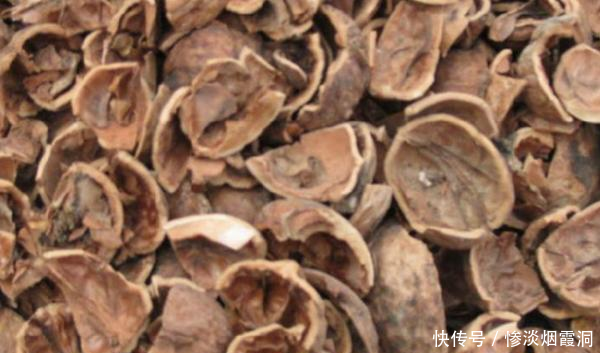 核桃壳的功效与作用及禁忌,煮核桃壳有什么功效与作用