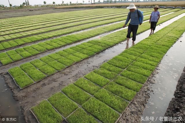 农村土地改革出新政!涉及承包地、农民闲置宅