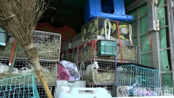 射阳:小货车违法闯禁区 无证司机掏出假证应付