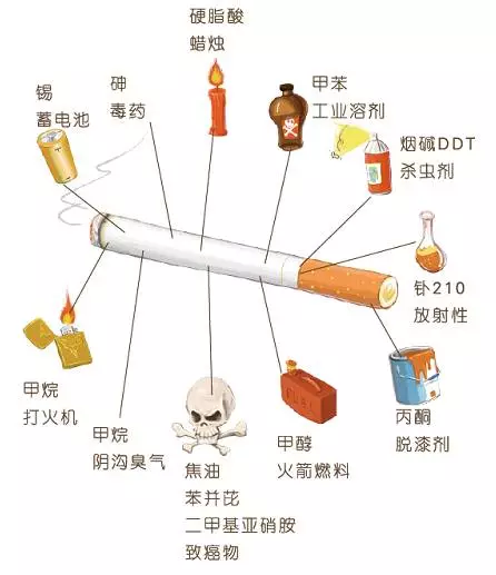 香烟的构成成分示意图图片