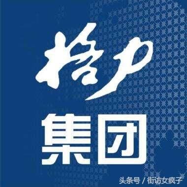 格力居然还是国企?看似私企,实际上国有控股的