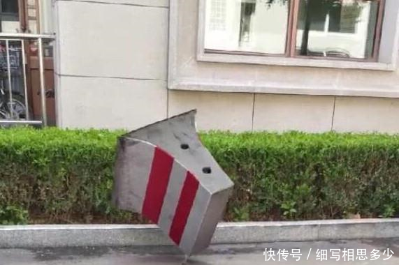 螳螂举起一块大石头,路人不敢相信,它们的力量