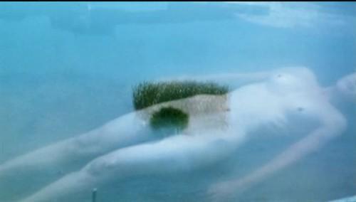 为何韩国一线女演员要演情色电影?