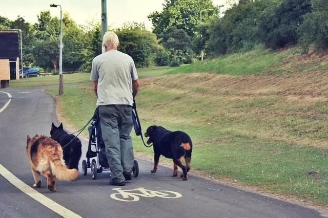如果我先走了,愿有人能如我一般待你.
