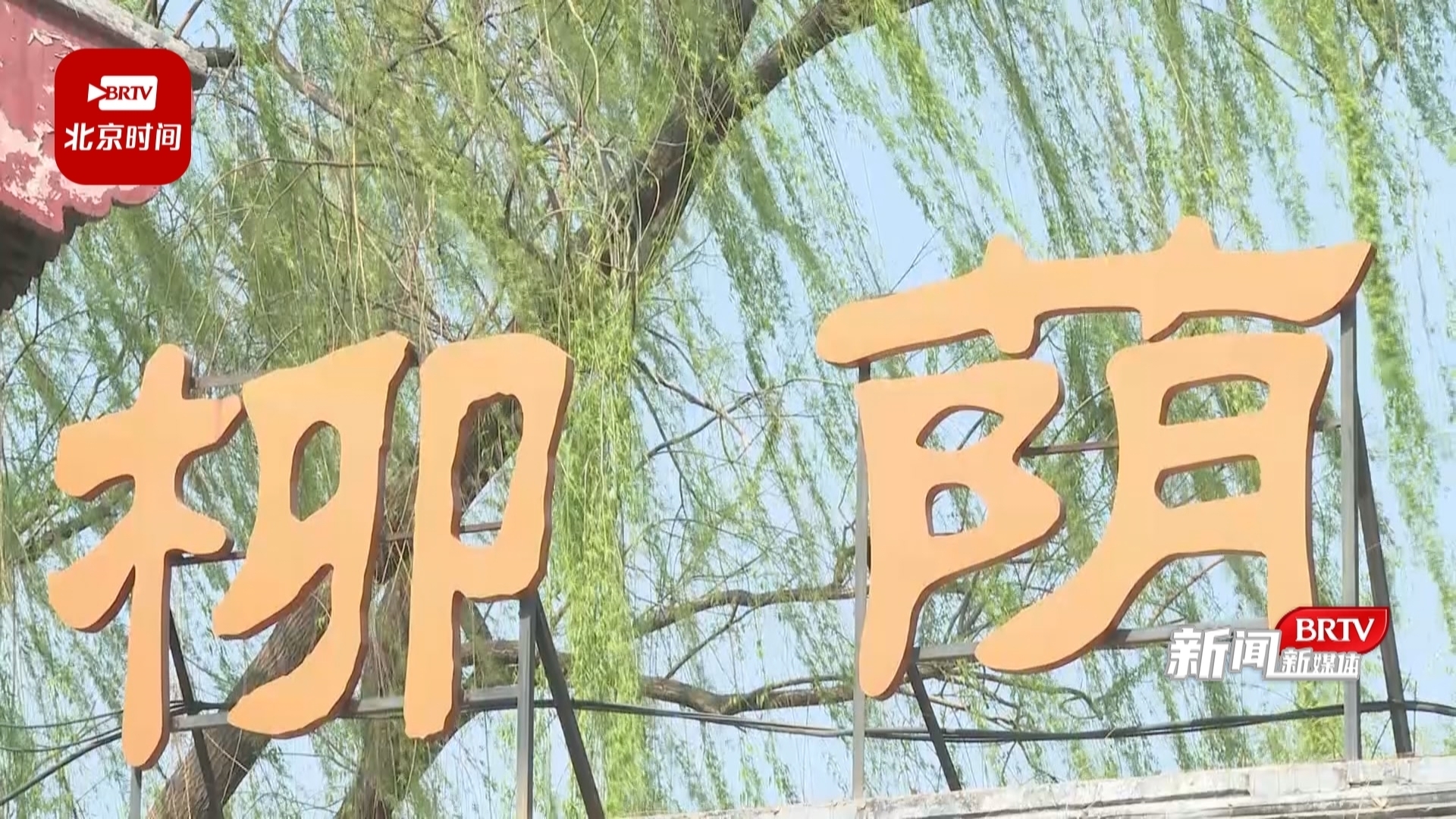 “书柳”“绘柳”“编柳”“佩柳”柳荫公园第十三届柳文化节开幕_北京时间