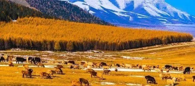 中国最新十大最穷省排名!快看看有你家吗?