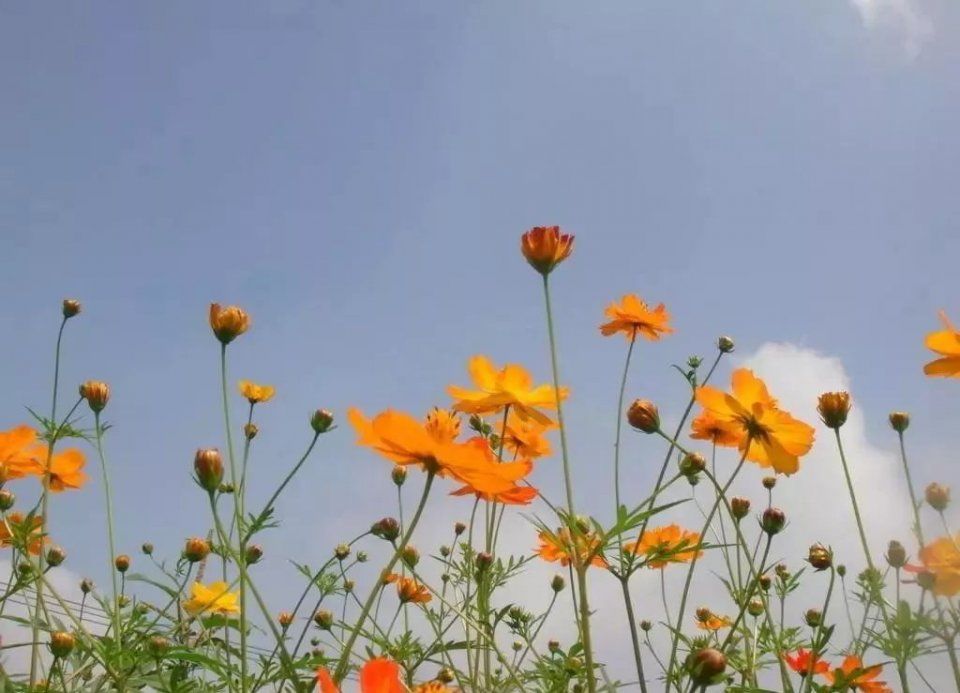 10万存银行还是余额宝?答案是…