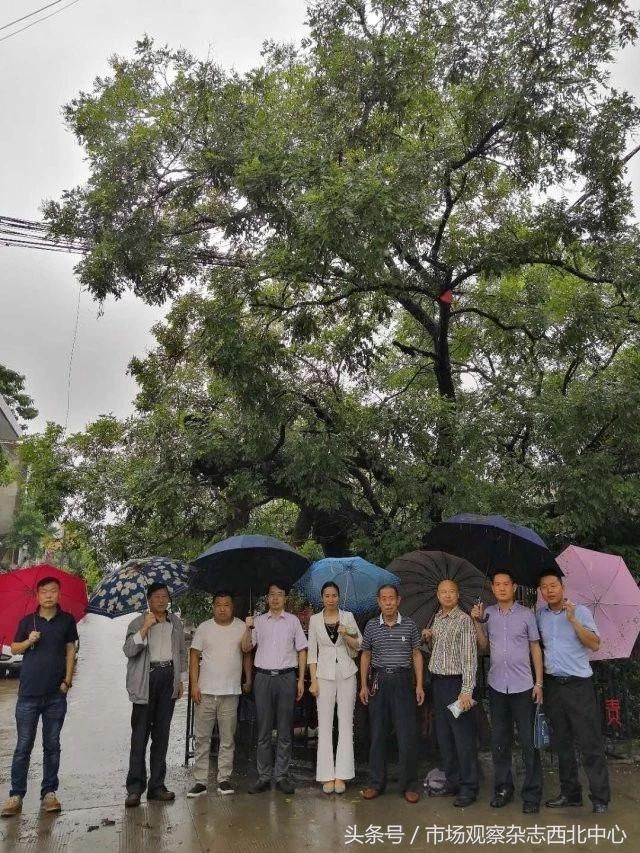 陕西省首家村级众创空间落户西安市鄠邑区坳河