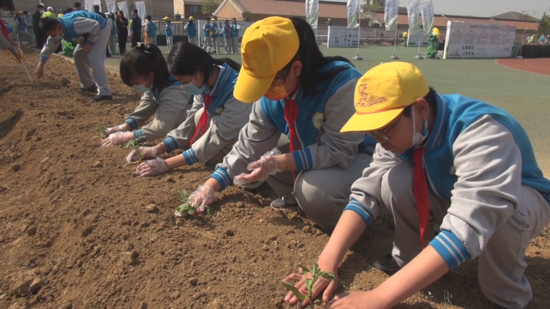 校园里农耕忙小学生感悟劳动意义 校园里农耕忙小学生感悟劳动意义