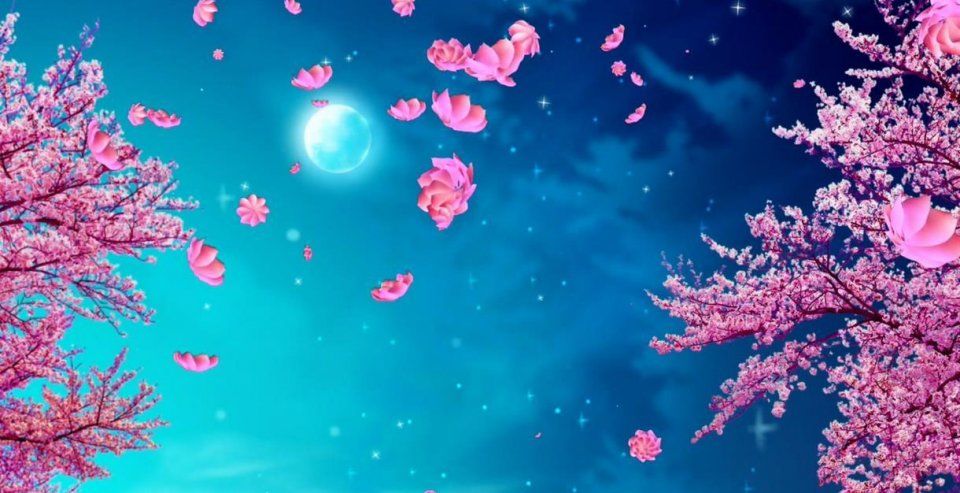 股市现在遍地低价股,何时是良机?现在抄底是早