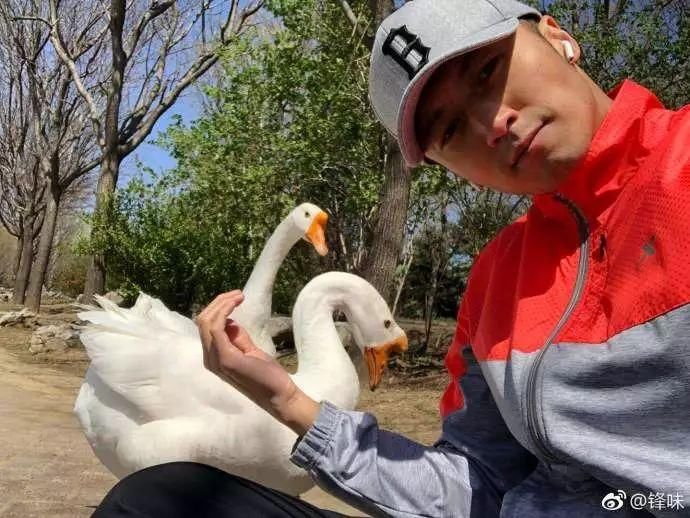 人设崩塌又上热搜,和王菲谈恋爱的谢霆锋是真