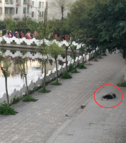 泸县坠亡学生家属同意尸检 专家称背后紫红色为尸斑 泸县坠亡学生家属同意尸检 专家称背后紫红色为尸斑