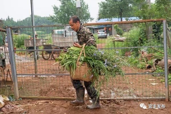 产业扶贫|从贫困户到年收入6万!他是怎么做到
