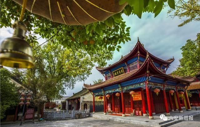 賞花采茶一日遊:張店金衝桃花園—塔山水蜜桃基地—九月生態園—東