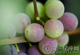 吃什么水果祛痘最有效 推荐五种食物