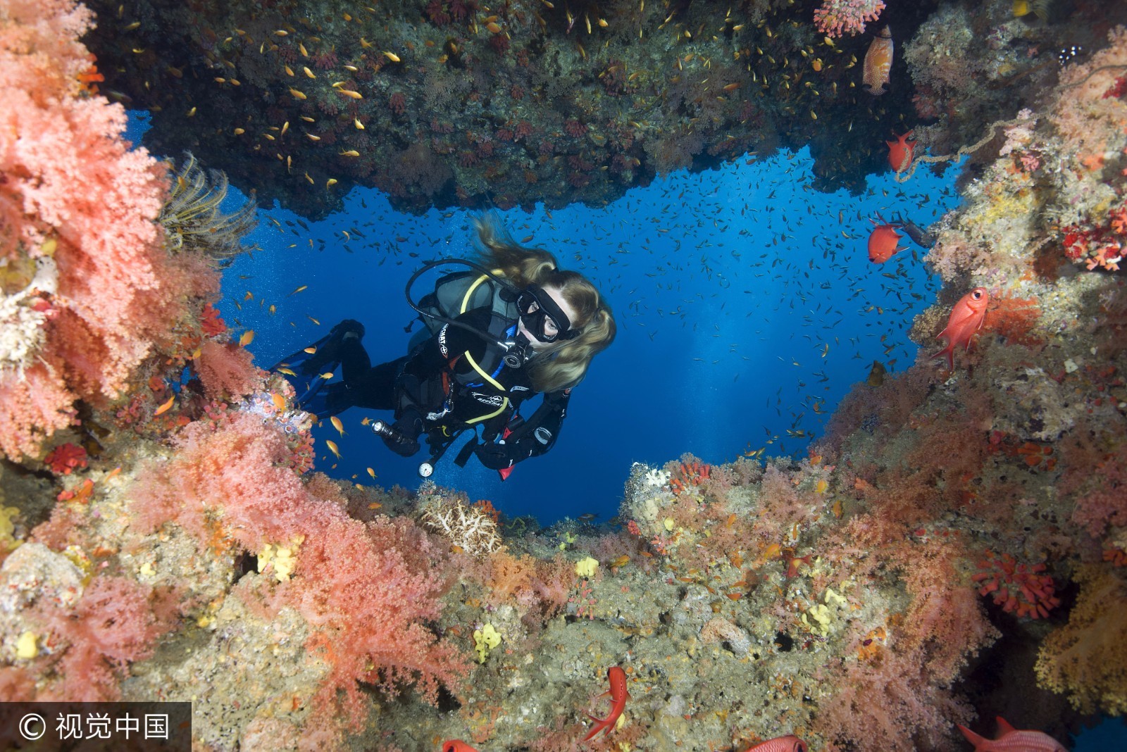 潜入马尔代夫的深蓝海底,这里的景色美到窒息