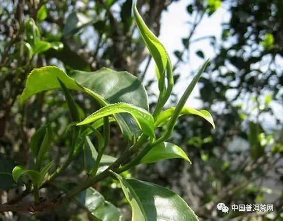 解析那些 解析那些