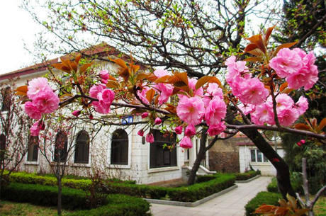 范冰冰的祖籍烟台市,为什么在大街小巷美女并