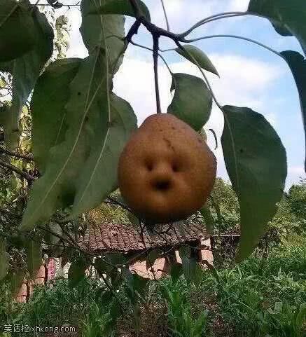 内涵段子:海滩上少了一块石头,你能看出有什么区别吗?