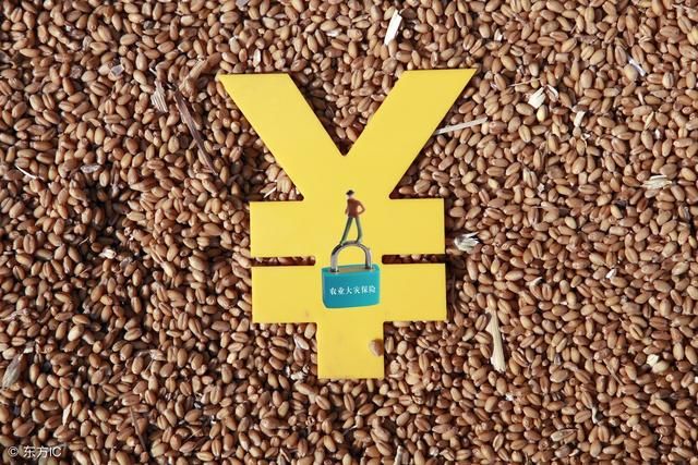 靠天吃饭和索赔无路 农业保险究竟买不买?