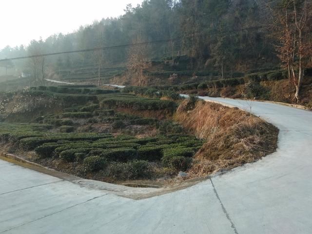 秭归县茅坪镇长岭村:公路扩宽亮化美化,长岭村